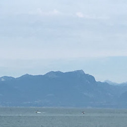 JM
