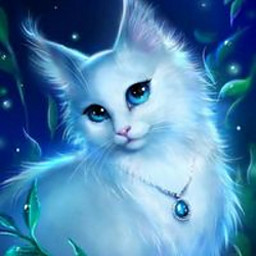 ED