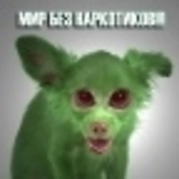 VM
