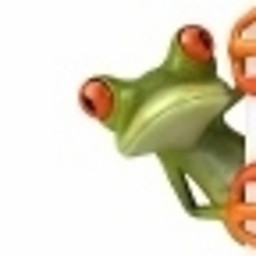 VV