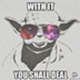 DS