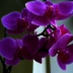 OS