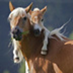 АК