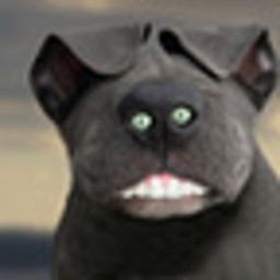 R