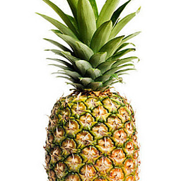 AN