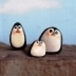 OS