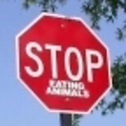 IP