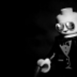 DS