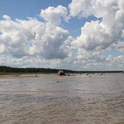 LK