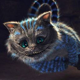 KT