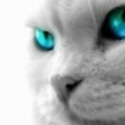 E.