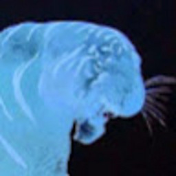 IK