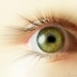 LS