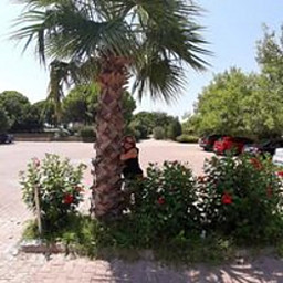 AS