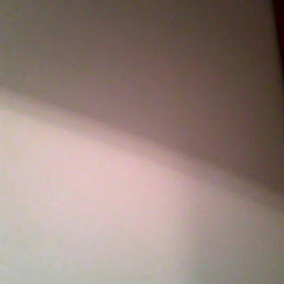 IP