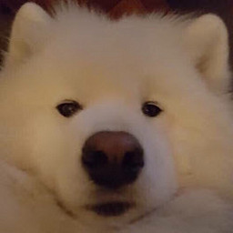 A-