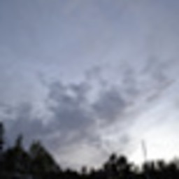 AA