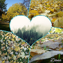 DH