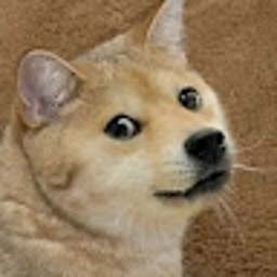MT