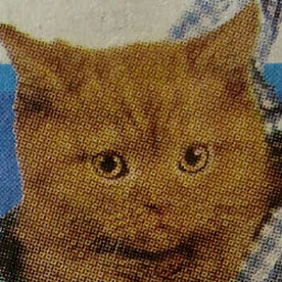 GV