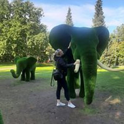 НФ