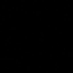 SE