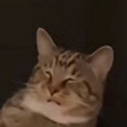 DS