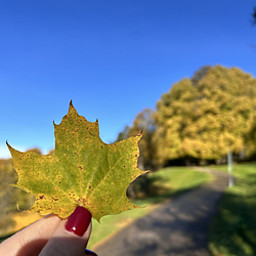 А