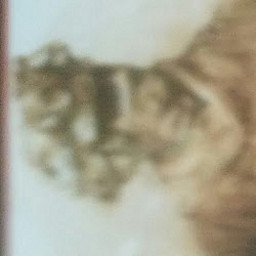 АМ