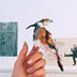 UA