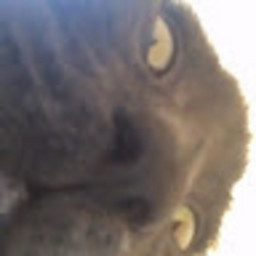 SR