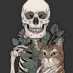 LL