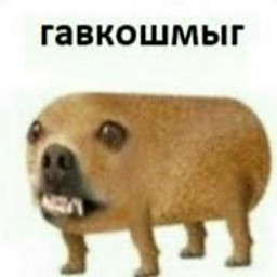 AV