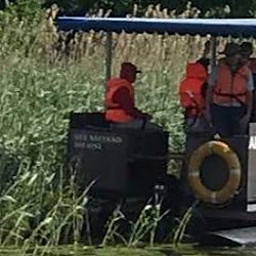 RR