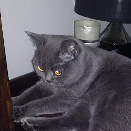 VV