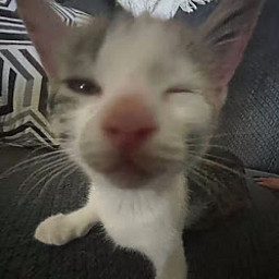 AM