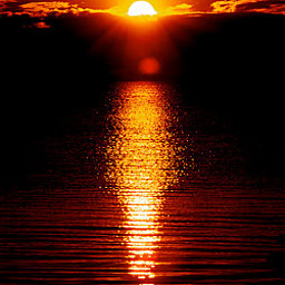 AA