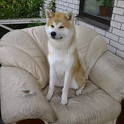 JK