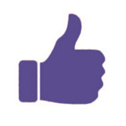 L1