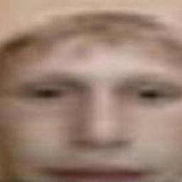 MT