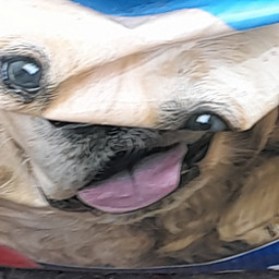 MT