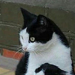 O