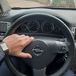 F1