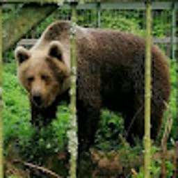 ЕС