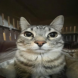 O