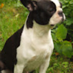 LL