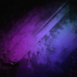 DS