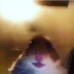 OV
