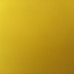 DS