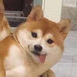 N
